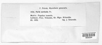Poria corticola image